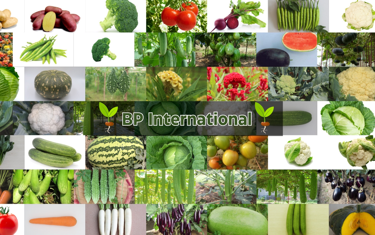 BP International Mobile slider 3