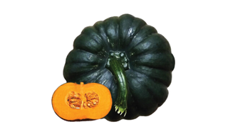 F1 Hybrid Pumpkin Varieties – Orni