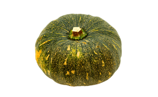 F1 Hybrid Pumpkin Varieties – Sorni