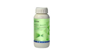 Weedicide – Metrazim 55SC (Atrazin + Mesotrin)