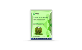 Weedicide – Tolpar 18 WP ( Benzofuran methyl + Acetochlor)